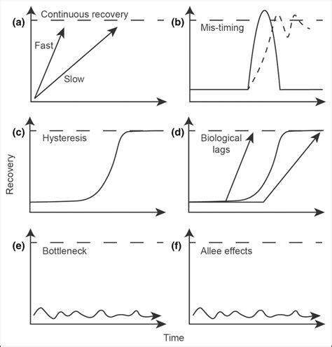 Disturbancerecovery Dynamics Inform Seafloor Management For Recovery