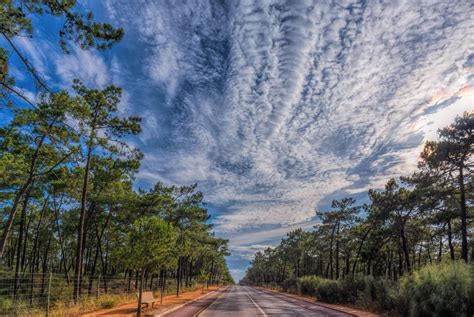 Bildet Himmel Palett Tre Vei Naturlandskap Sky Natur Dagtid