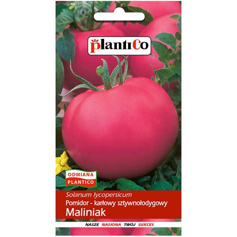 Pomidor Gruntowy Maliniak Nasiona Plantico 0 5 G