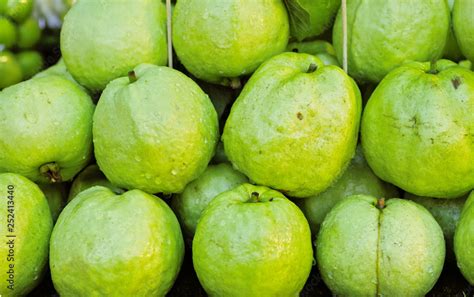 Close Up Of Fresh Common Guava Thai White Guava Psidium Guajava Var