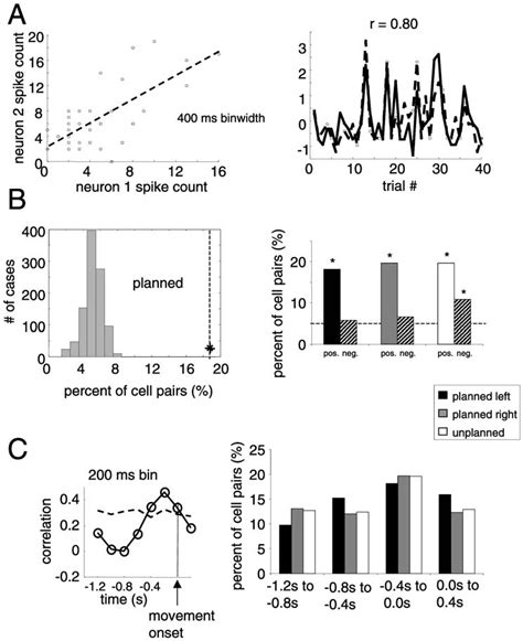 A C Pairs Of Mi Cells Engaged In Broad Correlated Activity A Left