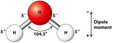 What is Electric Dipole , Dipole Moment and Dipole Field ? | cbse24.com