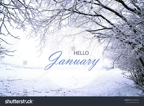 January Winter Background