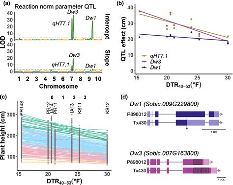 Phenotypic Plasticity In Plant Height Shaped By Interaction Between Genetic Loci And Diurnal