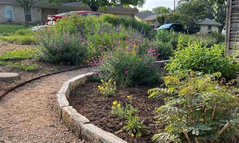 10 Awesome Native Texas Landscaping Ideas Native Backyards