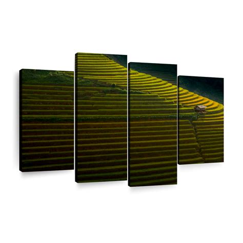 Sapa Rice Terraces Wall Art | Photography