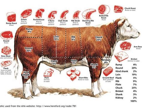 Cuts Of Beef And How To Cook Them South Coast Sun