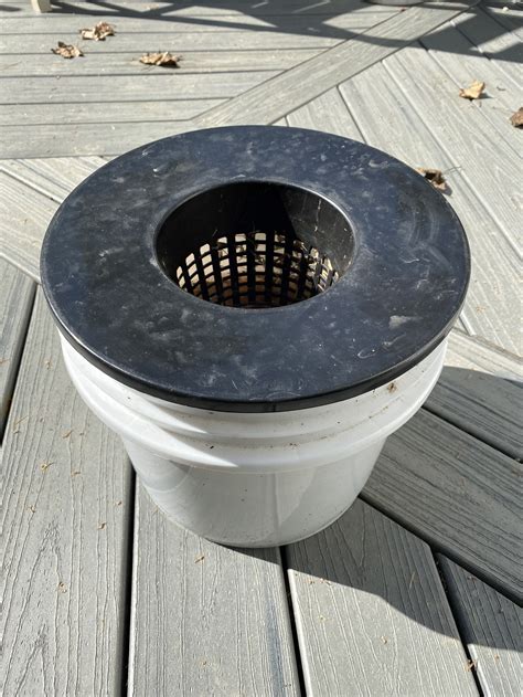 Updated How To Set Up A Mosquito Larva Trap — Audubon Society Of