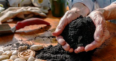 How Often Should You Use BioChar? | Wakefield BioChar