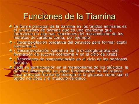 Tiamina o Vitamina B1 Para Qué Sirve Propiedades Beneficios Funciones