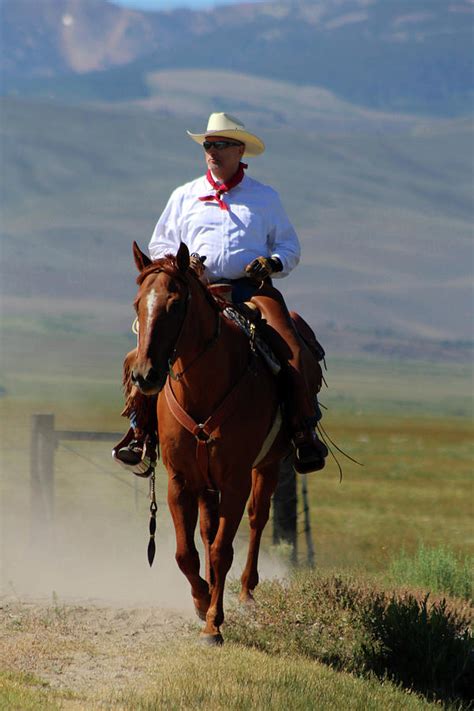 Cowboy At Bridgeport California Photograph By Day Williams Fine Art