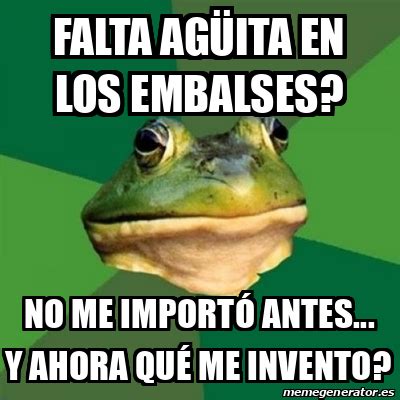 Meme Foul Bachelor Frog Falta Ag Ita En Los Embalses No Me Import