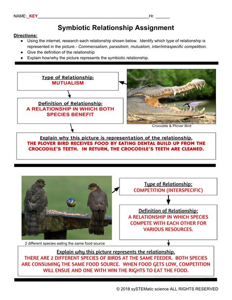 Questions About Symbiotic Relationships