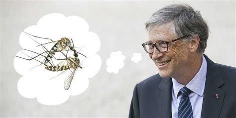 Is Bill Gates Releasing Millions Of Gmo Mosquitoes Tech Arp