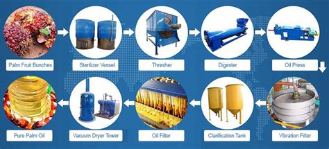 Palm Palm Oil Mill Process For Starting Palm Oil Extraction Business