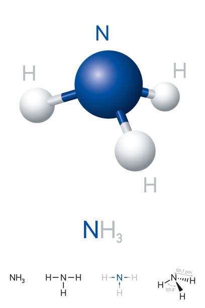 Nh4 Molecule Model