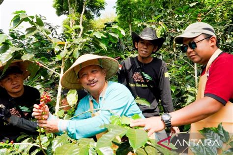 Pemkab Situbondo Dorong Petani Kopi Gunakan Pupuk Organik ANTARA News