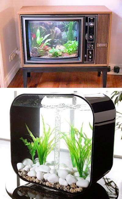 Really Cool Fish Tank