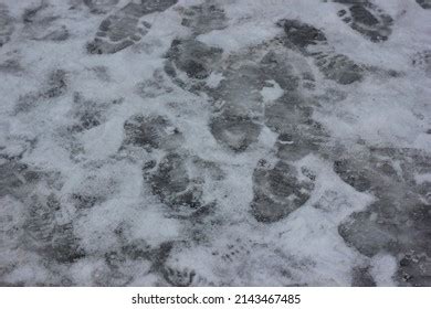 Footprints Snow Stock Photo 2143467485 | Shutterstock