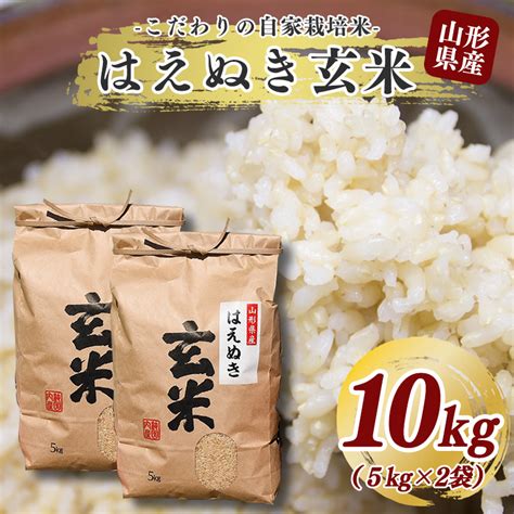 【楽天市場】【ふるさと納税】玄米 10kg 「はえぬき」（5kg×2袋） 【2022年10月頃より発送予定】沖縄・離島可 ／ 新米 2022