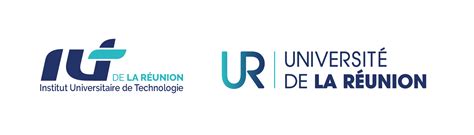 Dipl Me Universitaire Cyberattaque Cyberd Fense Digital Reunion