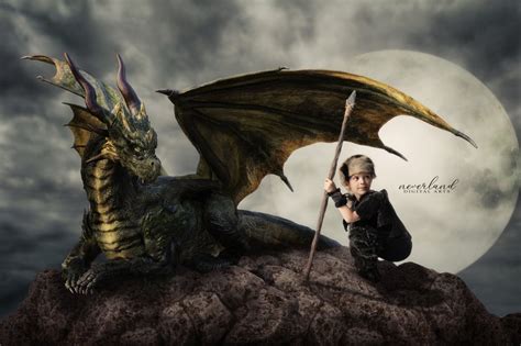 Sitting Dragon Background For Photographers Dragon Etsy