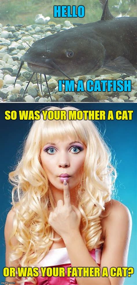 catfish Memes & GIFs - Imgflip