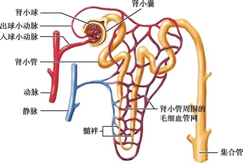 参考文献