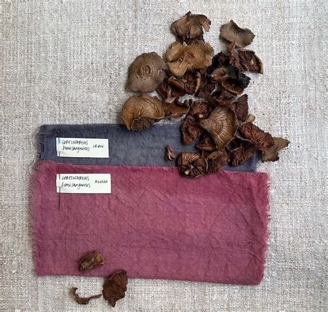 Logwood Chips - Botanical Colors