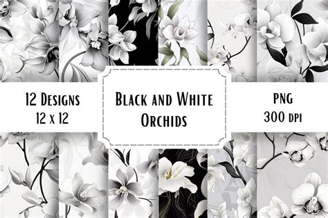 Black and White Orchids Graphic by Whimsy Girl · Creative Fabrica