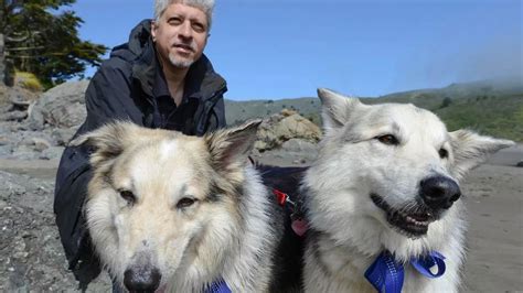 Cloned Dogs Why Scientist Lou Hawthorne Who Created World First