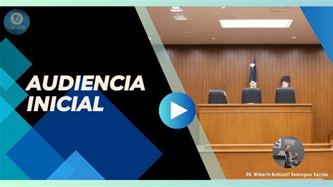 Audiencia Inicial Youtube