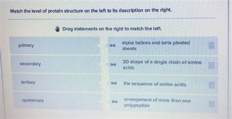 Solved Match the level of protein structure on the left to | Chegg.com 