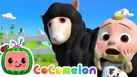 Baa Baa Black Sheep - @CoComelon | Kids Song | Classic Nursery Rhyme - Vidude