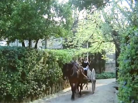 Celestine Softcore Vintage Porn Xhamster