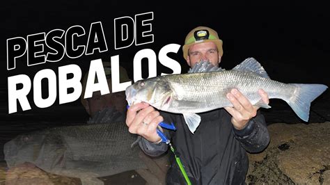 PESCA DE ROBALOS AO SPINNING SOME ACTION YouTube