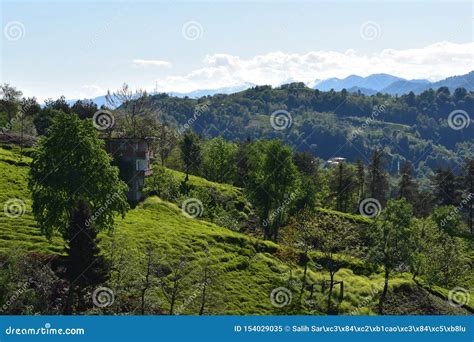 Mountains In Nature Forests Valleys Waters And Landcapes Stock Image