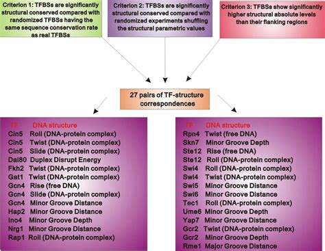 The Refined Landscape Of Tfs And Their Characteristic Binding Dna