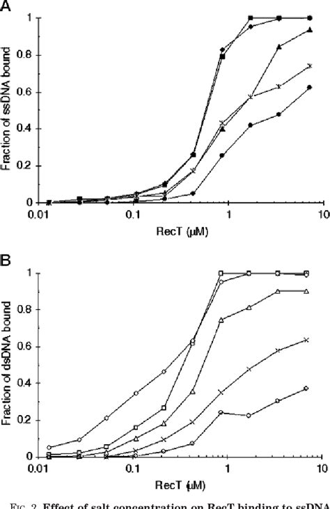 Figure 1 From DNA Strand Invasion Promoted By Escherichia Coli RecT