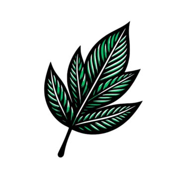 Leaf Vector Design, Vector Leaf, Green Leaf, Leaf Transparent PNG and ...