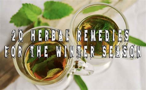 20 Herbal Remedies For The Winter Season Preppers Will