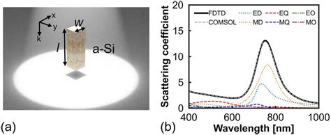 Study of a single a-Si nanopillar. (a) Schematic of an a-Si nanopillar ... 