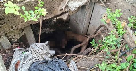 Naked American In Bangkok Sewer Bites The Rescue Workers Trying To Save Him Ebaum S World