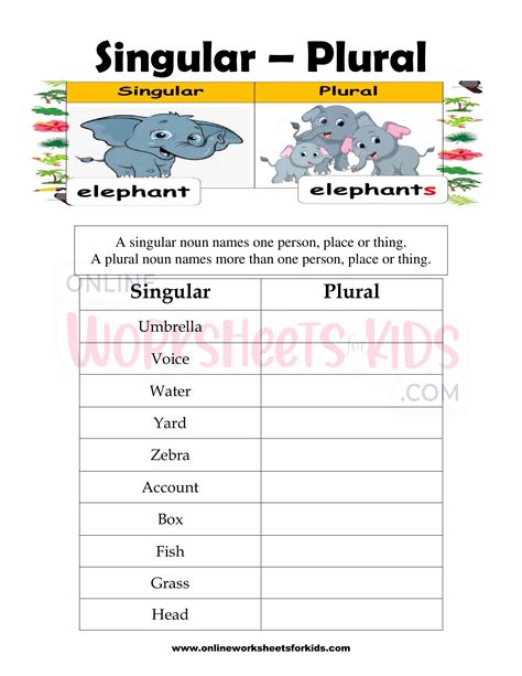 Singular And Plural Nouns Worksheet 5