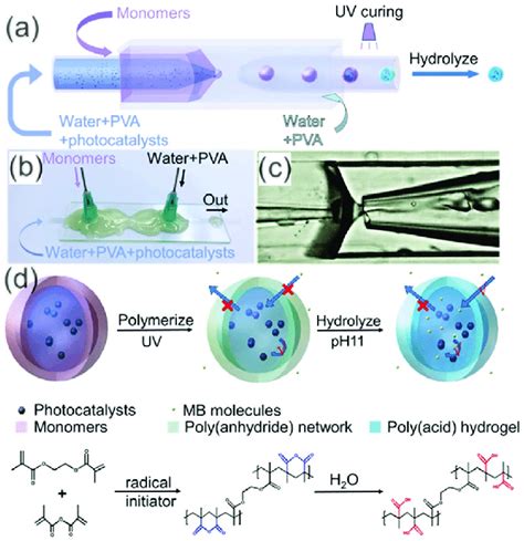 Fabrication Of Thin Shell Hydrogel Microcapsules Containing Aqueous