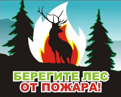 Картинки «Берегите лес от пожара!» (30 фото) скачать бесплатно