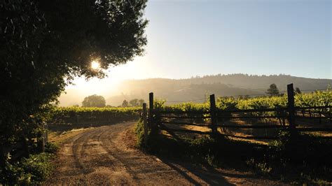 The World's Most Underrated Wine Regions | Condé Nast Traveler