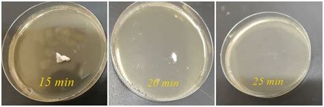 The growth of Trichophyton rubrum after treatment with cold plasma. | Download Scientific Diagram