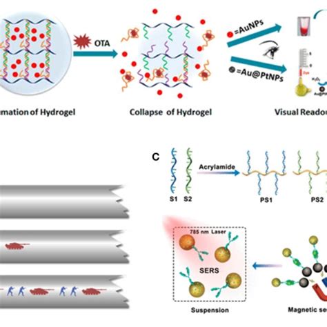 A Dna Hydrogel With Aptamer Toehold Based Recognition Cloaking