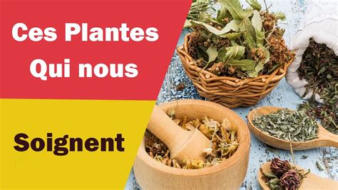 Ces Plantes qui Nous Guérissent YouTube